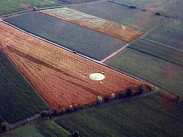 Crop circle