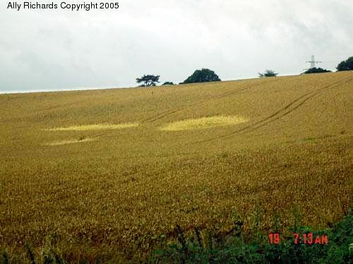 Crop circle