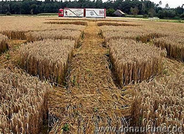 Crop circle