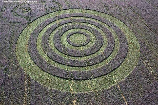 Crop circle