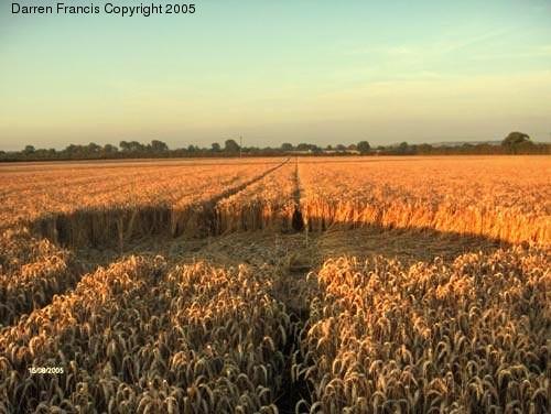 Crop circle