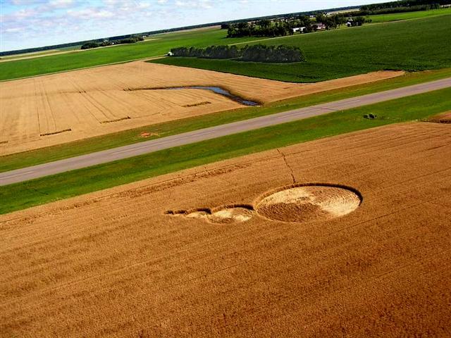 Crop circle