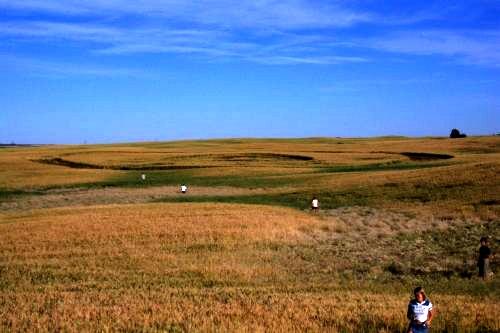 Crop circle