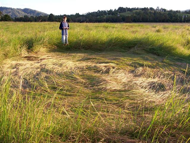 Crop circle