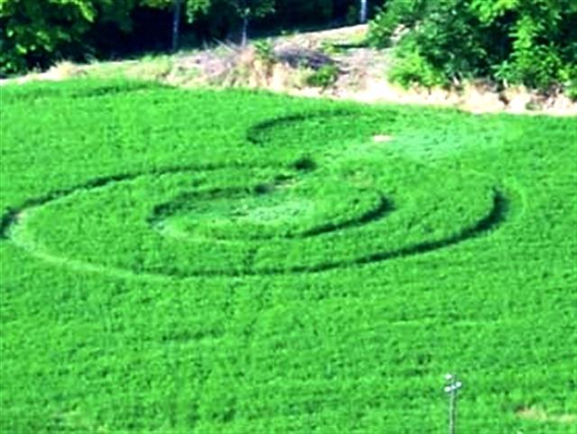 Crop circle