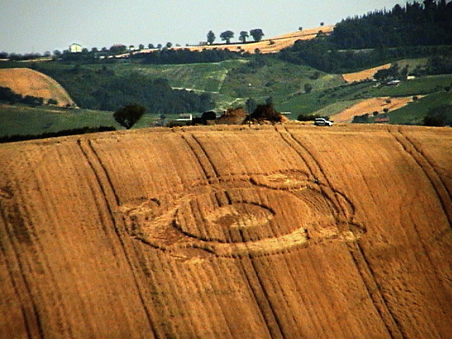 Crop circle