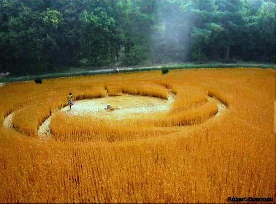 Crop circle