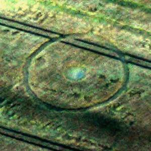 Crop circle