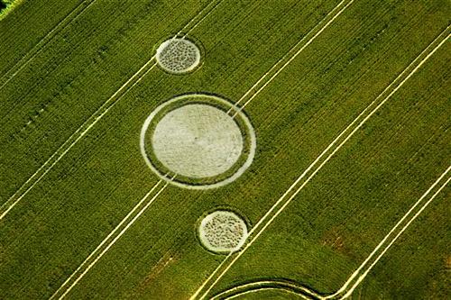 Crop circle