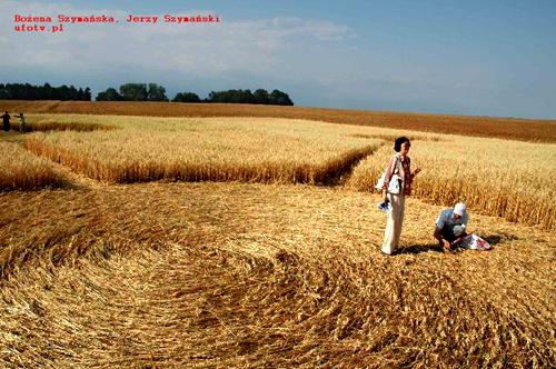 Crop circle