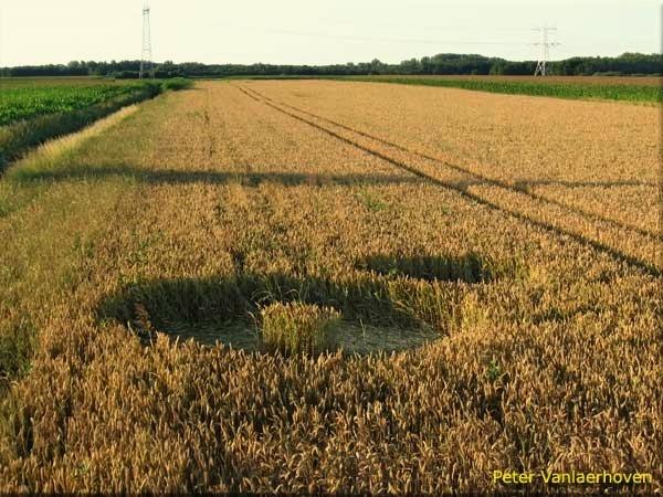 Crop circle