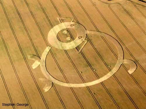 Crop circle