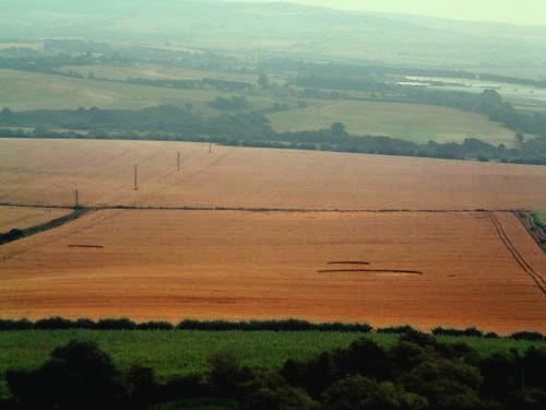 Crop circle