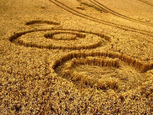 Crop circle