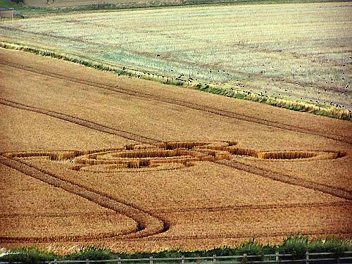 Crop circle