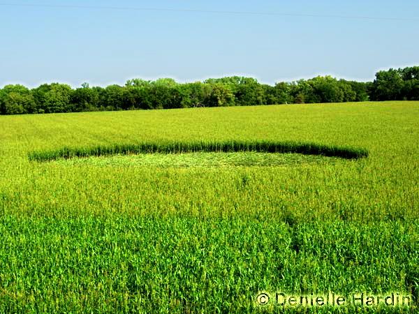 Crop circle