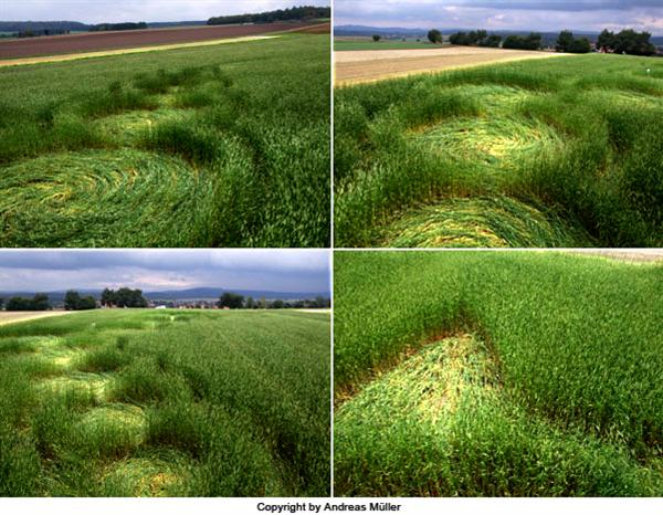 Crop circle