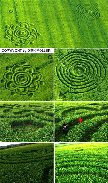 Crop circle