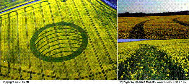 Crop circle