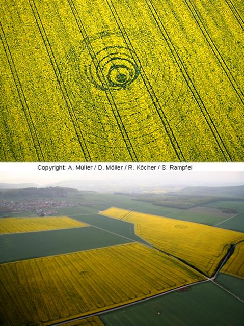 Crop circle