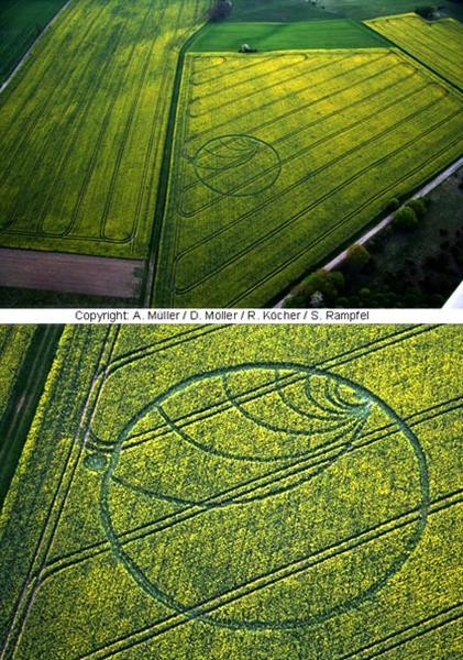 Crop circle