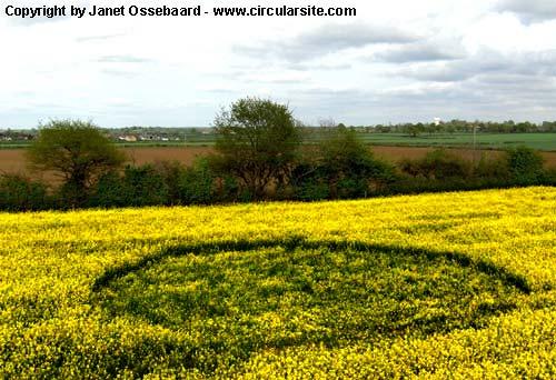 Crop circle