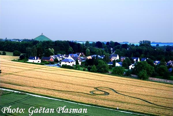 Crop circle