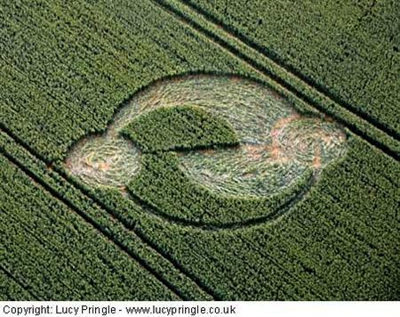 Crop circle