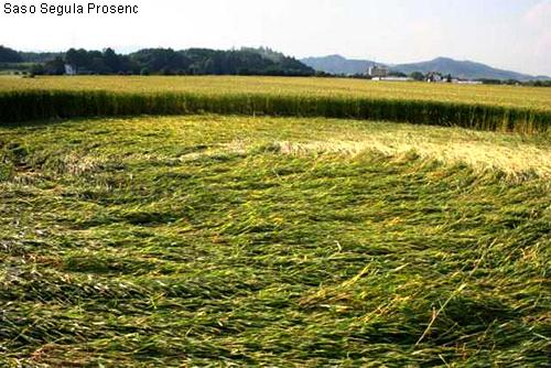 Crop circle