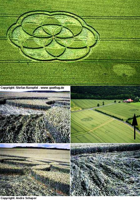 Crop circle