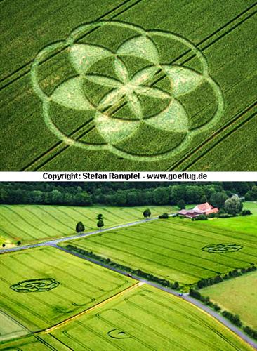 Crop circle