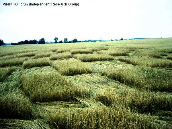 Crop circle