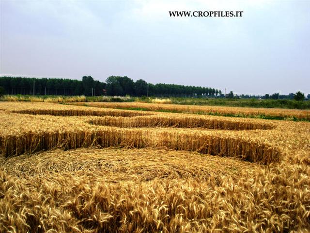 Crop circle