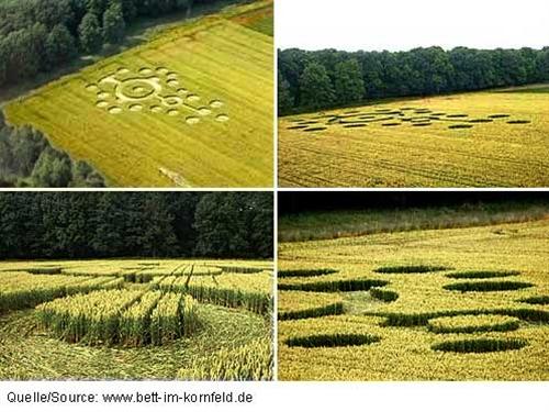 Crop circle