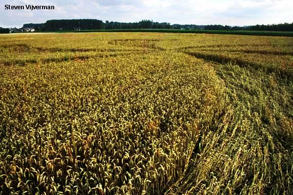 Crop circle