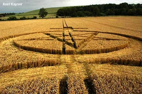 Crop circle