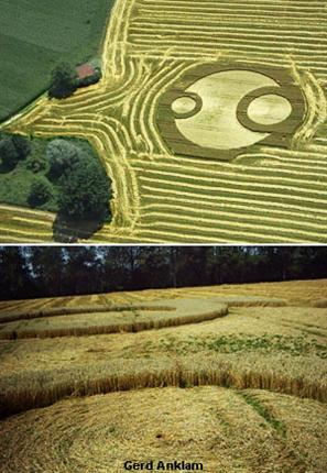 Crop circle