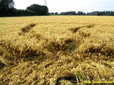 Crop circle