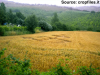 Crop circle