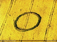 Crop circle