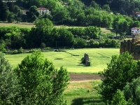 Crop circle