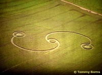 Crop circle