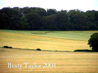 Crop circle