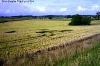 Crop circle