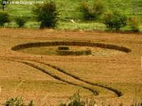 Crop circle