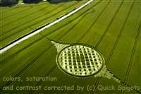 crop circles