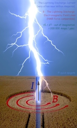 Crop circle - a simulation of Lightning Electromagnetic Fields